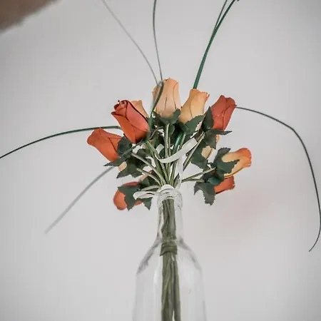 Ghirlandina - La Casa Dell'esteta Appartement Modena