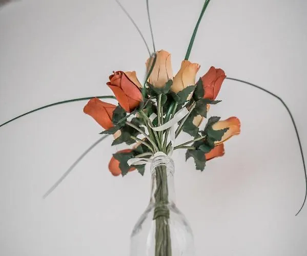 Ghirlandina - La Casa Dell'esteta Apartment Modena